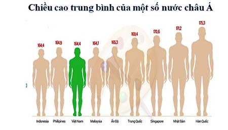 chiều cao trung bình của người việt