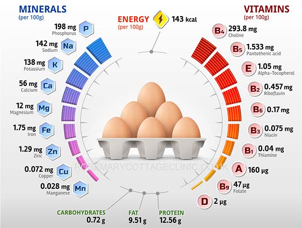 hàm lượng dinh dưỡng có trong trứng